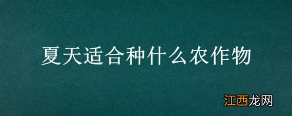 春夏季适合种植什么农作物 夏天适合种什么农作物