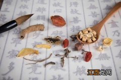 枝仁的功效与作用 枝仁的功效与作用的功能与主治