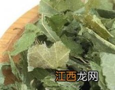 仙灵脾的功效与作用及禁忌症 仙灵脾的功效与作用