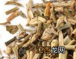 中药瞿麦的功效与作用及药用价值 中药瞿麦的功效与作用及药用价值图片