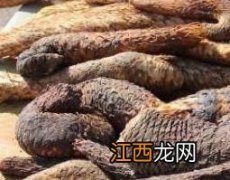 长期吃肉苁蓉的危害 长期吃肉苁蓉的危害是什么