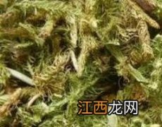 伸筋草泡水喝的功效与禁忌 伸筋草泡水喝的功效与禁忌是什么