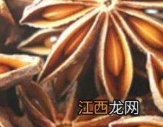 大茴香的功效与作用一 大茴香的功效与作用及食用方法