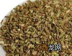 茴香籽的功效与作用及药用价值是什么 茴香籽的功效与作用及药用价值