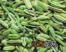 大茴香籽的功效与作用图片 大茴香籽的功效与作用