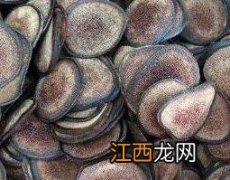 血茸的功效与作用及禁忌 血茸的功效与作用