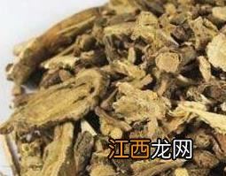 前胡的功效与作用及食用方法