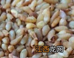 柏子仁的功效与作用及食用方法 柏子仁功效与作用的功效与作用及禁忌症