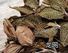 金线莲有什么功效 金线莲有什么功效与作用