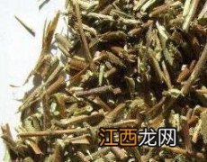 忍冬藤的功效与作用 忍冬藤的功效与作用及禁忌症