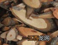 虎爪风的功效与作用图片 虎爪风的功效与作用