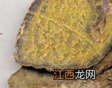 莪术的功效与作用 莪术的功效与作用的功能与主治