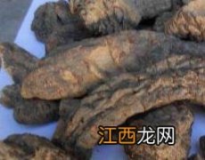 肉苁蓉的功效与作用与主治 肉苁蓉的功效与作用