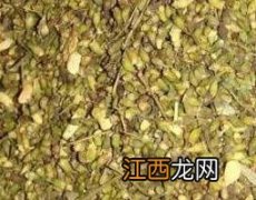 生槐米与熟槐米的区别 生槐米和熟槐米的区别