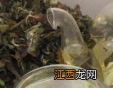 蒲公英的功效与作用 蒲公英的功效与作用的功能与主治与用量