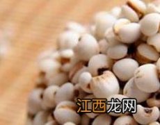 薏米的功效与作用 薏米的功效与作用禁忌