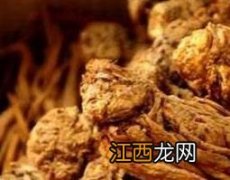 当归的功效与作用及药用价值图片 当归的功效与作用及药用价值