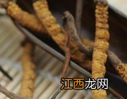 冬虫夏草的功效与作用 冬虫夏草的功效与作用及食用方法