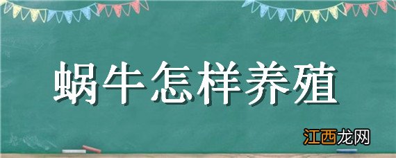 蜗牛怎样养殖 蜗牛怎样养殖才能养活