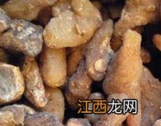 黄精的功效与作用及药用价值图片 黄精的功效与作用及药用价值