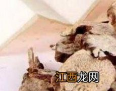 白术的功效与作用及药用价值图片 白术的功效与作用及药用价值