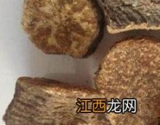 香水麝香的功效与作用及禁忌 麝香的功效与作用及禁忌