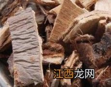 榆树皮的功效与作用及药用价值 榆树皮有什么药用价值