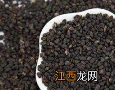 补骨脂的功效与作用及药用价值 补骨脂的功效与作用及药用价值图片