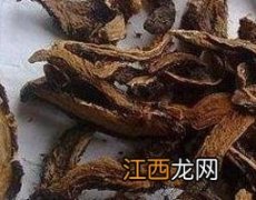 骨碎补的功效与作用及药用价值 骨碎补的功效与作用及药用价值