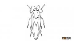 蟑螂简笔画 简单 蟑螂简笔画