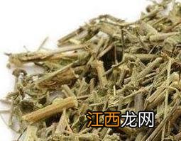 钻骨草和透骨草的区别 钻筋透骨草的功效与作用