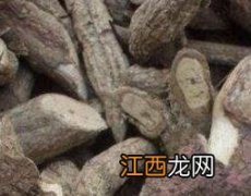 五骨藤的功效与作用 五骨藤的功效与作用