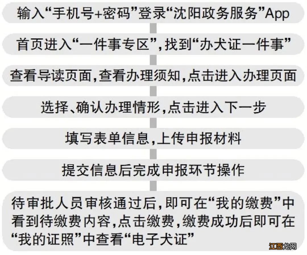 沈阳狗证怎么办理 沈阳电子犬证在手机上怎么办?