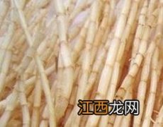 鲜白茅根的功效与作用及禁忌 鲜白茅根的功效与作用