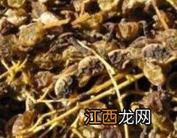 中药槐角的功效与作用禁忌 中药槐角的功效与作用