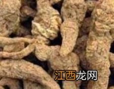 生地黄的功效及用途 生地黄的功效与作用及食用方法