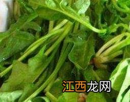 中药水菠菜的功效与作用禁忌 中药水菠菜的功效与作用