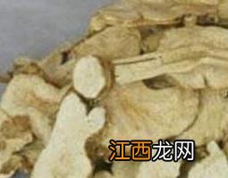 苎麻根的功效与作用 苎麻根的功效与作用及禁忌