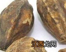 中药诃子的功效与作用? 中药诃子的功效与作用