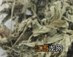 艾叶泡澡的功效与作用 艾叶泡脚的功效与作用