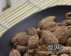 砂仁的功效与作用禁忌及食用方法 砂仁的功效与作用