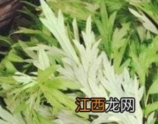 艾叶泡脚能治风湿吗?艾叶水泡脚的禁忌有哪些? 艾叶泡脚能治风湿吗