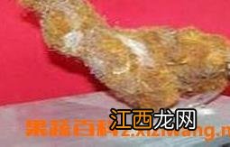 金丝毛根的功效与作用 金丝毛根的功效与作用图片