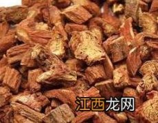 丹参的功效与作用的功能与主治茯苓 丹参的功效与作用