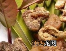 黄精的功效与作用及副作用 黄精的功效与作用