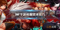 DNF韩服怎么玩 DNF手游韩服团本技巧