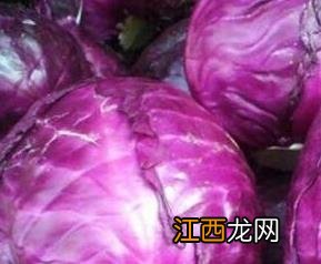 紫甘蓝菜和什么相克 紫甘蓝与什么食物相克