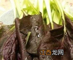 紫油菜和什么相克食物 紫油菜和什么相克