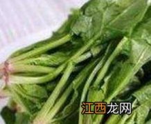 孕妇能吃菠菜吗 孕初期 孕妇能吃菠菜吗