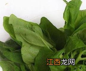 野菜水菠菜能吃吗 野菜水菠菜能吃吗有毒吗